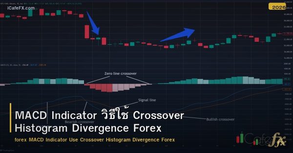 MACD Indicator วิธีใช้ Crossover Histogram Divergence Forex