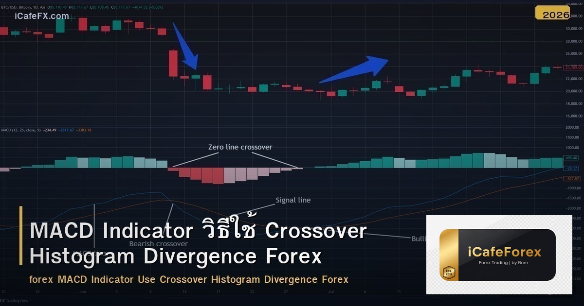 MACD Indicator วิธีใช้ Crossover Histogram Divergence Forex