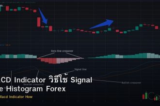 MACD Indicator วิธีใช้ Signal Line Histogram Forex