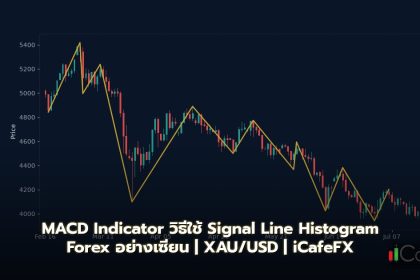 MACD Indicator วิธีใช้ Signal Line Histogram Forex