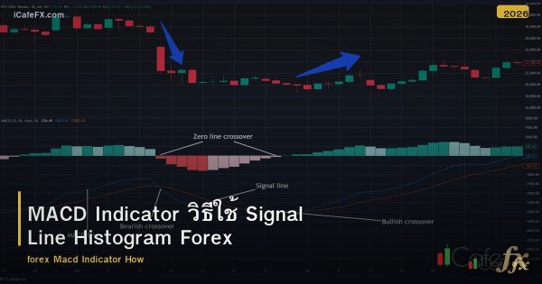 MACD Indicator วิธีใช้ Signal Line Histogram Forex