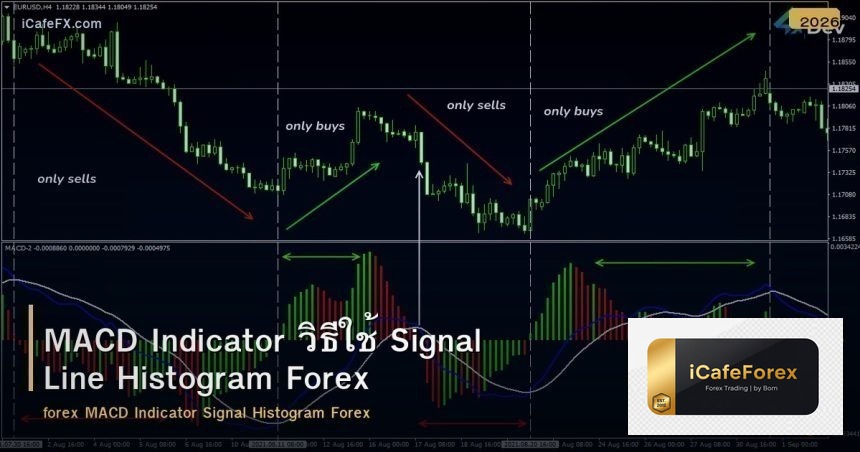 MACD Indicator วิธีใช้ Signal Line Histogram Forex