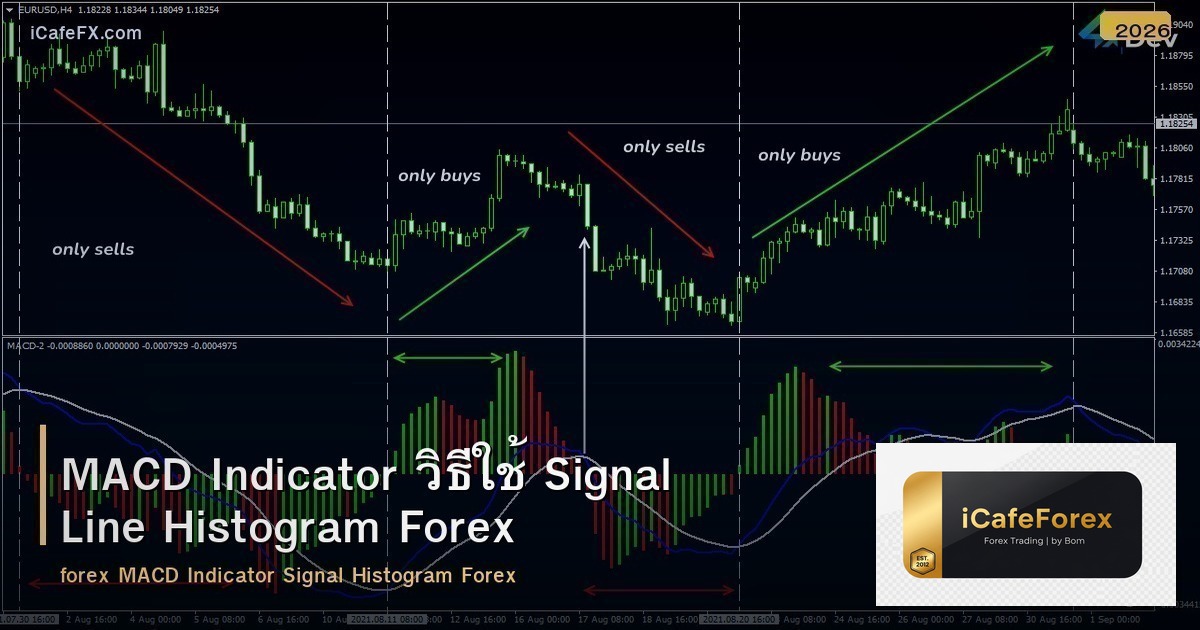 MACD Indicator วิธีใช้ Signal Line Histogram Forex