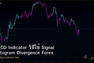 MACD Indicator วิธีใช้ Signal Histogram Divergence Forex