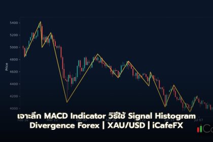 เจาะลึก MACD Indicator วิธีใช้ Signal Histogram Divergence Forex