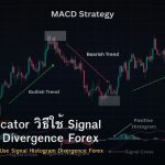MACD Indicator วิธีใช้ Signal Histogram Divergence Forex