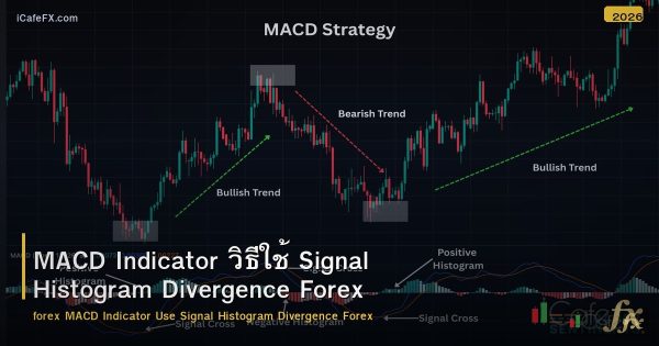 MACD Indicator วิธีใช้ Signal Histogram Divergence Forex