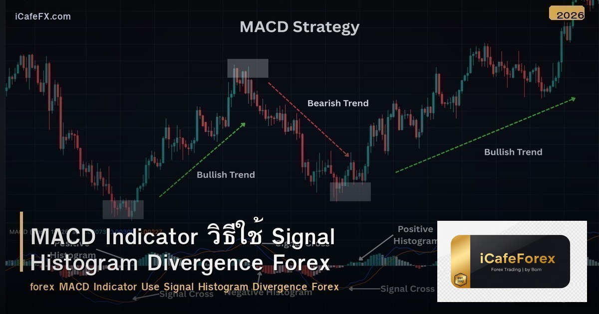 MACD Indicator วิธีใช้ Signal Histogram Divergence Forex