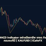 MACD Indicator วิธีใช้ MACD Signal Histogram เทรด Forex