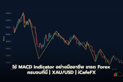 MACD Indicator วิธีใช้ MACD Signal Histogram เทรด Forex
