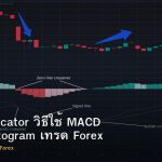 MACD Indicator วิธีใช้ MACD Signal Histogram เทรด Forex