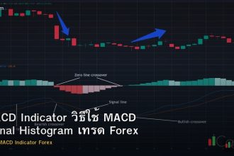 MACD Indicator วิธีใช้ MACD Signal Histogram เทรด Forex