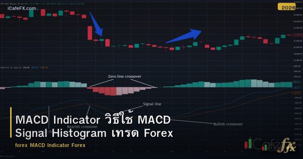 MACD Indicator วิธีใช้ MACD Signal Histogram เทรด Forex