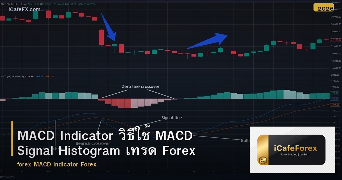 MACD Indicator วิธีใช้ MACD Signal Histogram เทรด Forex