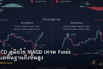 MACD คู่มือใช้ MACD เทรด Forex ตั้งแต่พื้นฐานถึงขั้นสูง