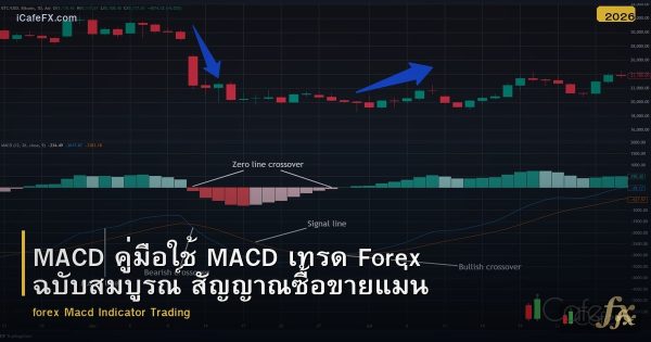 MACD คู่มือใช้ MACD เทรด Forex ตั้งแต่พื้นฐานถึงขั้นสูง