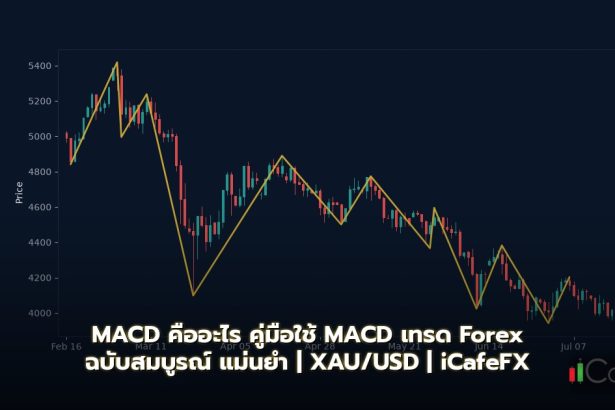 MACD คู่มือใช้ MACD เทรด Forex ฉบับสมบูรณ์ สัญญาณซื้อขายแม่นยำ