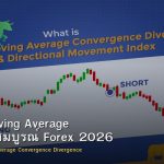 MACD Moving Average คู่มือฉบับสมบูรณ์ Forex 2026