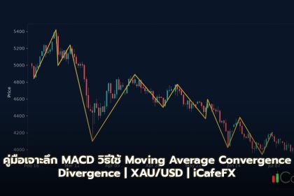 คู่มือเจาะลึก MACD วิธีใช้ Moving Average Convergence Divergence