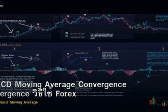 MACD Moving Average Convergence Divergence วิธีใช้ Forex