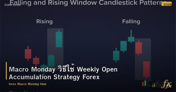 Macro Monday วิธีใช้ Weekly Open Accumulation Strategy Forex