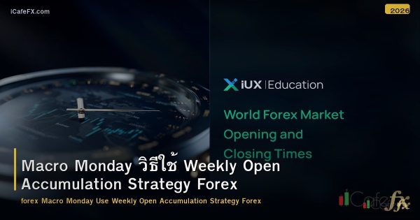 Macro Monday วิธีใช้ Weekly Open Accumulation Strategy Forex