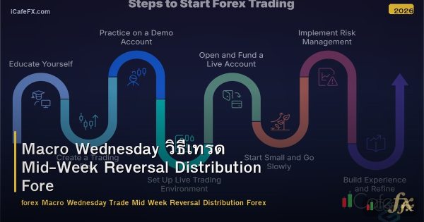 Macro Wednesday วิธีเทรด Mid-Week Reversal Distribution Forex