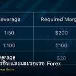 Margin Leverage พื้นฐานมาร์จินและเลเวอเรจ Forex