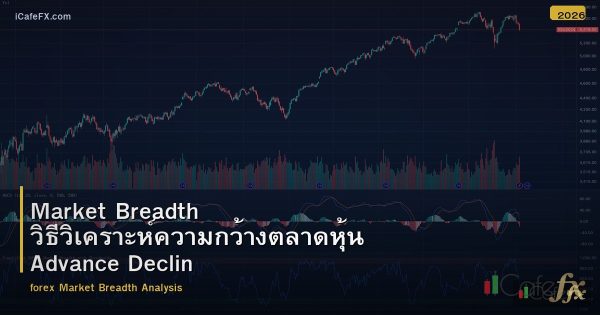 Market Breadth วิธีวิเคราะห์ความกว้างตลาดหุ้น Advance Decline