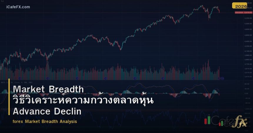 Market Breadth วิธีวิเคราะห์ความกว้างตลาดหุ้น Advance Decline
