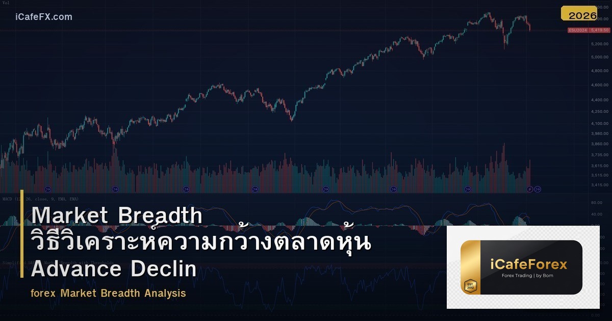 Market Breadth วิธีวิเคราะห์ความกว้างตลาดหุ้น Advance Decline