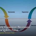 Market Cycle Expansion Recession วิธีเทรดตามวัฏจักร Forex