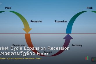 Market Cycle Expansion Recession วิธีเทรดตามวัฏจักร Forex