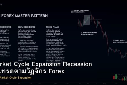 Market Cycle Expansion Recession วิธีเทรดตามวัฏจักร Forex