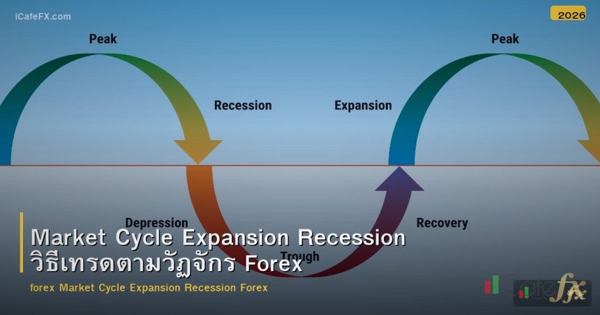 Market Cycle Expansion Recession วิธีเทรดตามวัฏจักร Forex