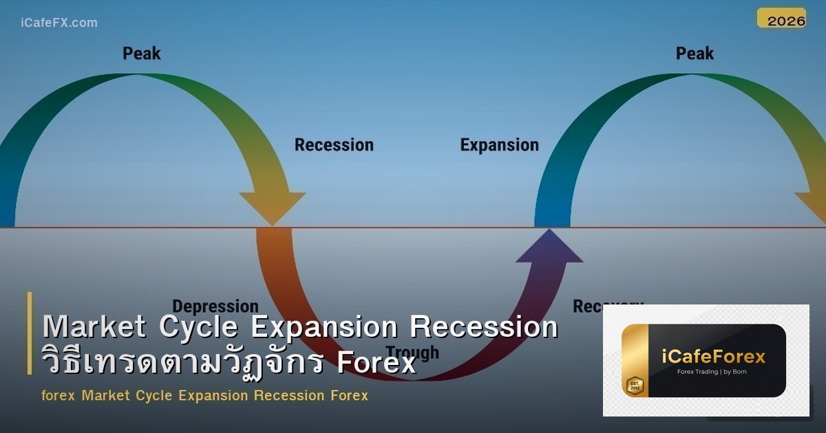 Market Cycle Expansion Recession วิธีเทรดตามวัฏจักร Forex