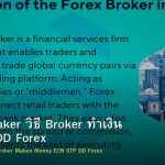 Market Maker วิธี Broker ทำเงิน ECN STP DD Forex