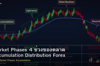 Market Phases 4 ช่วงของตลาด Accumulation Distribution Forex