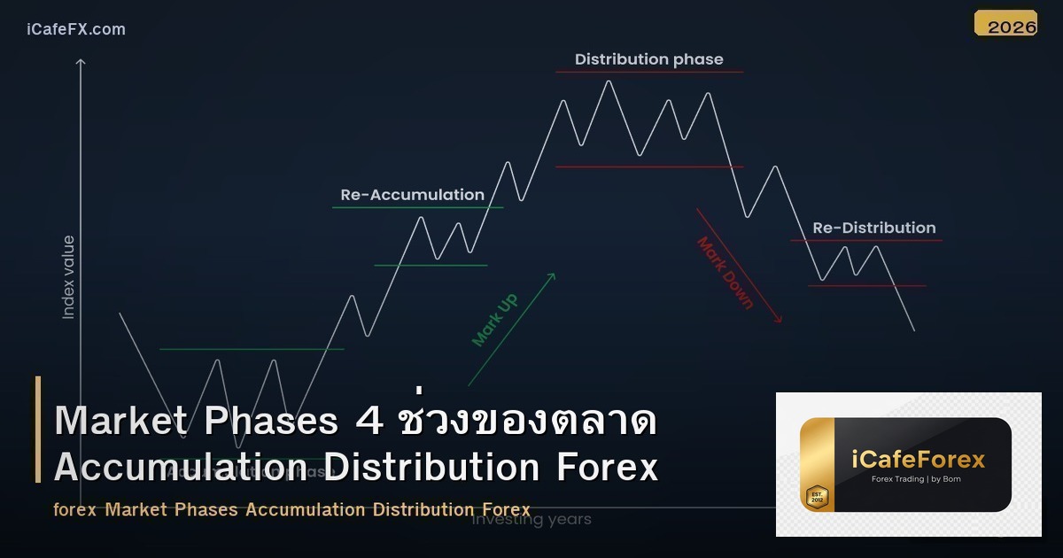 Market Phases 4 ช่วงของตลาด Accumulation Distribution Forex
