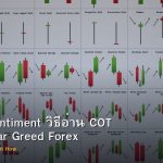 Market Sentiment วิธีอ่าน COT Report Fear Greed Forex