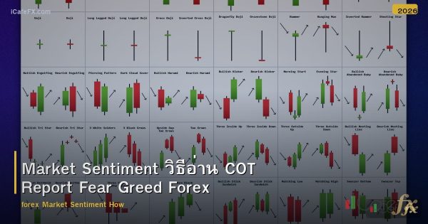 Market Sentiment วิธีอ่าน COT Report Fear Greed Forex