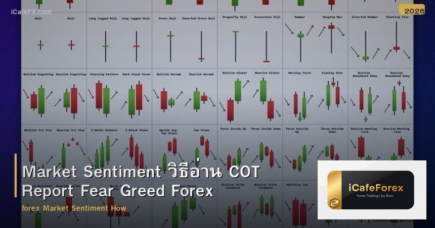 Market Sentiment วิธีอ่าน COT Report Fear Greed Forex