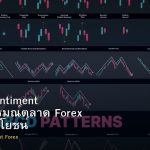Market Sentiment วิธีอ่านอารมณ์ตลาด Forex และใช้ประโยชน์