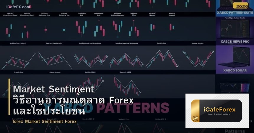 Market Sentiment วิธีอ่านอารมณ์ตลาด Forex และใช้ประโยชน์