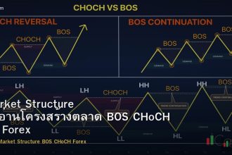 Market Structure วิธีอ่านโครงสร้างตลาด BOS CHoCH ใน Forex