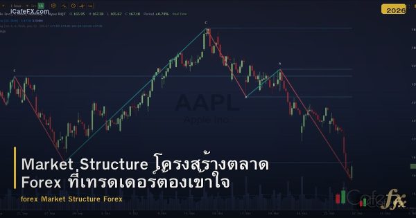 Market Structure โครงสร้างตลาด Forex ที่เทรดเดอร์ต้องเข้าใจ