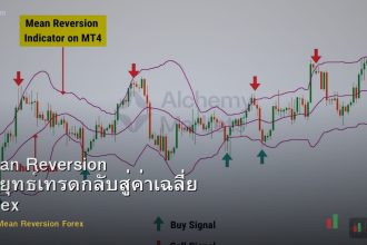 Mean Reversion กลยุทธ์เทรดกลับสู่ค่าเฉลี่ย Forex