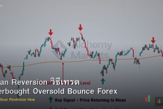 Mean Reversion วิธีเทรด Overbought Oversold Bounce Forex