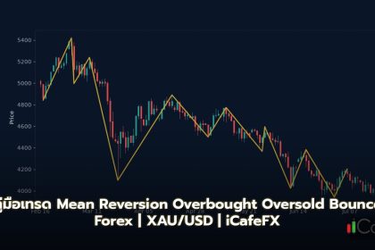Mean Reversion วิธีเทรด Overbought Oversold Bounce Forex