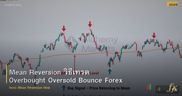 Mean Reversion วิธีเทรด Overbought Oversold Bounce Forex